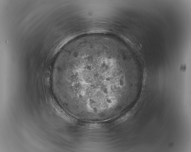X0000114991401200911091324