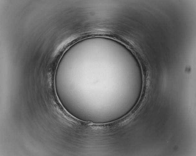 X0000114991402200911091324