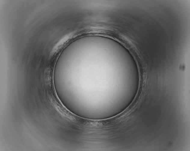 X0000114991403200911091324