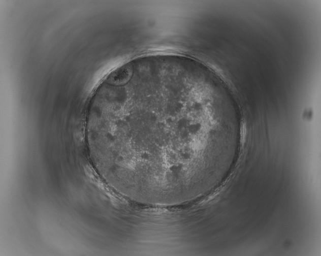 X0000114991405200911091324