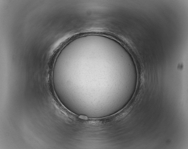 X0000114991406200911091324