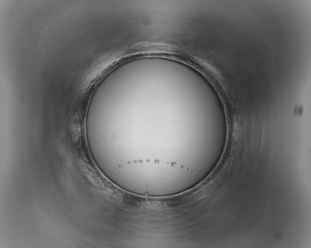 X0000114991407200911091324