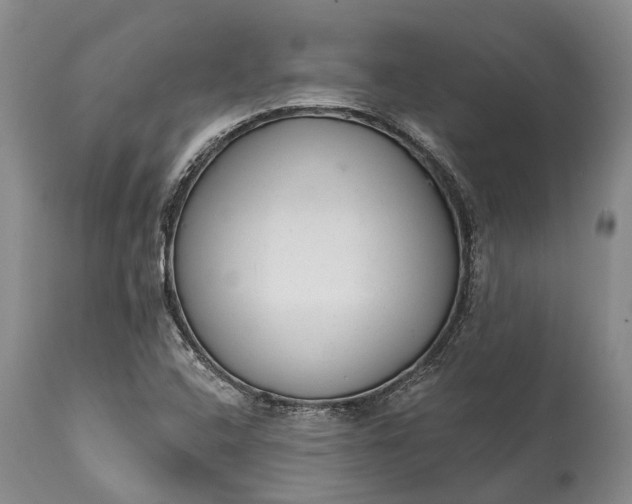 X0000114991408200911091324