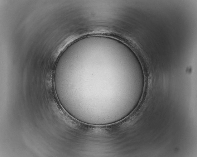 X0000114991409200911091324