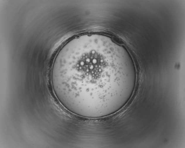 X0000114991410200911091324