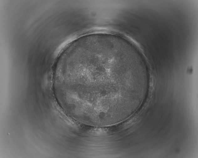 X0000114991411200911091324