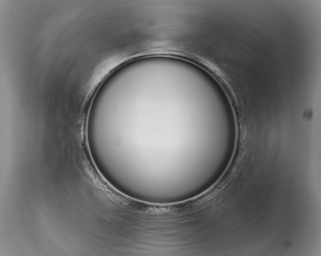 X0000114991415200911091324
