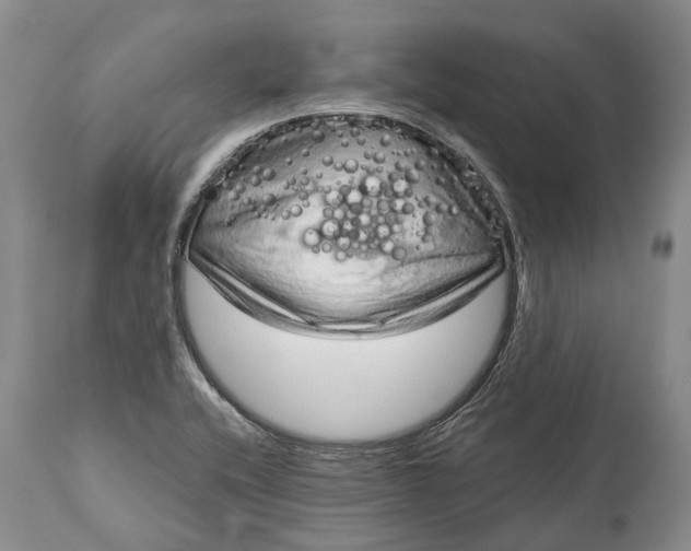 X0000114991416200911091324