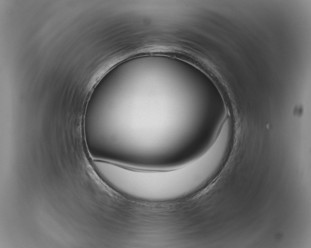 X0000114991417200911091324
