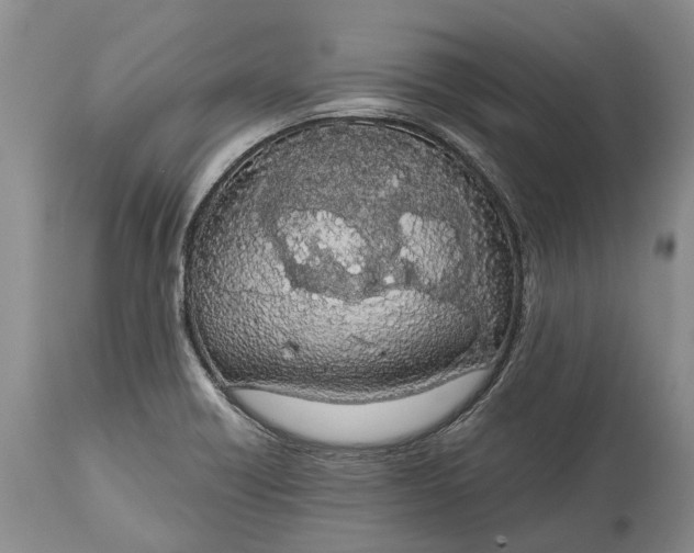 X0000114991418200911091324