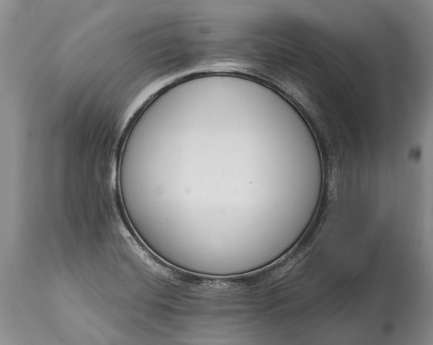 X0000114991420200911091324