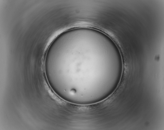 X0000114991421200911091324