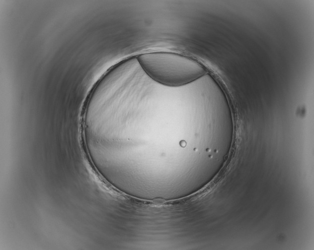 X0000114991423200911091324