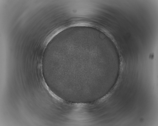 X0000114991425200911091324