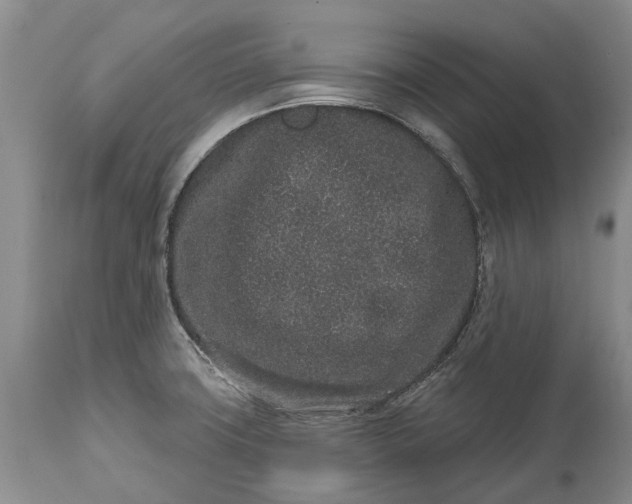 X0000114991427200911091324