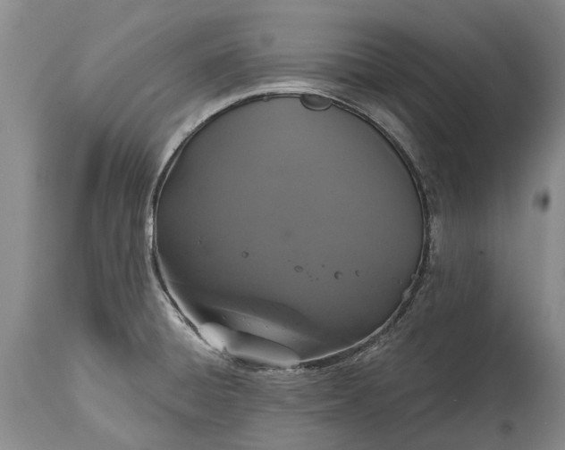 X0000114991428200911091324