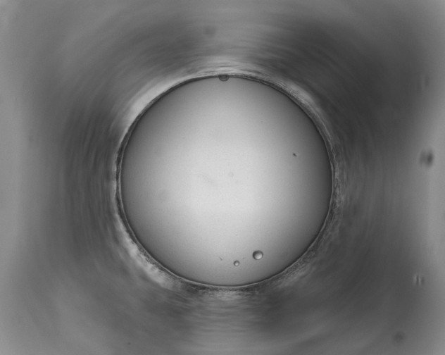 X0000114991431200911091324