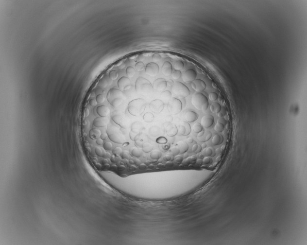 X0000114991432200911091324