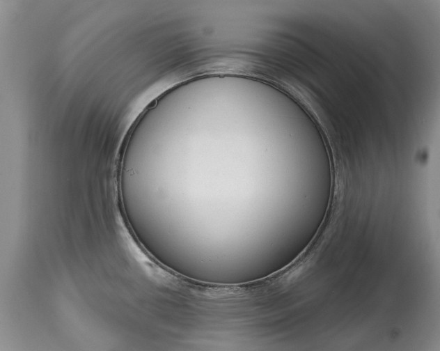 X0000114991434200911091324