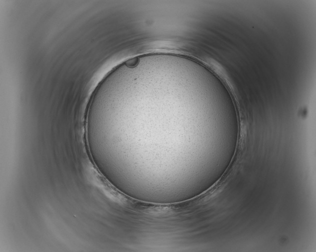 X0000114991435200911091324