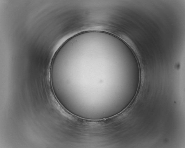 X0000114991436200911091324