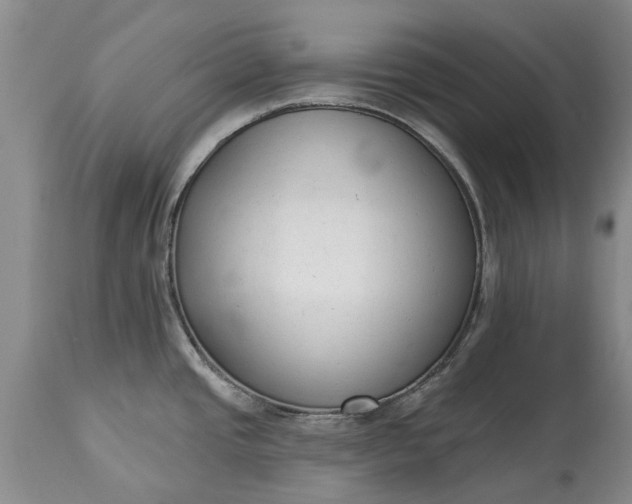 X0000114991437200911091324