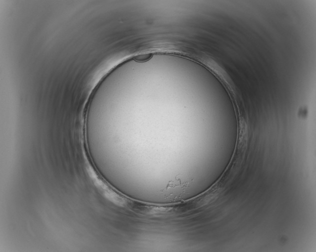 X0000114991439200911091324