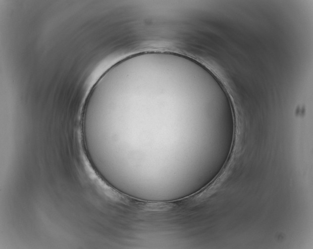 X0000114991440200911091324
