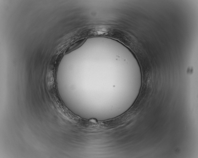 X0000114991442200911091324
