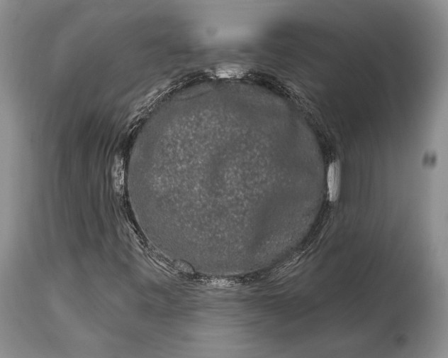 X0000114991443200911091324