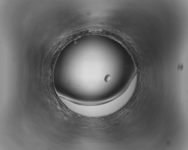 X0000114991445200911091324