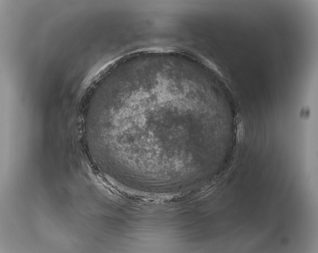 X0000114991448200911091324
