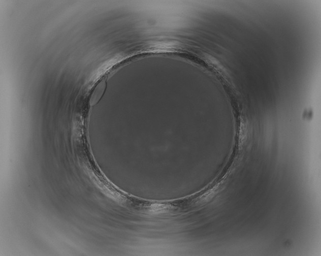 X0000114991449200911091324