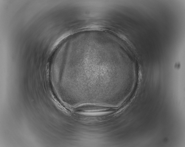 X0000114991450200911091324