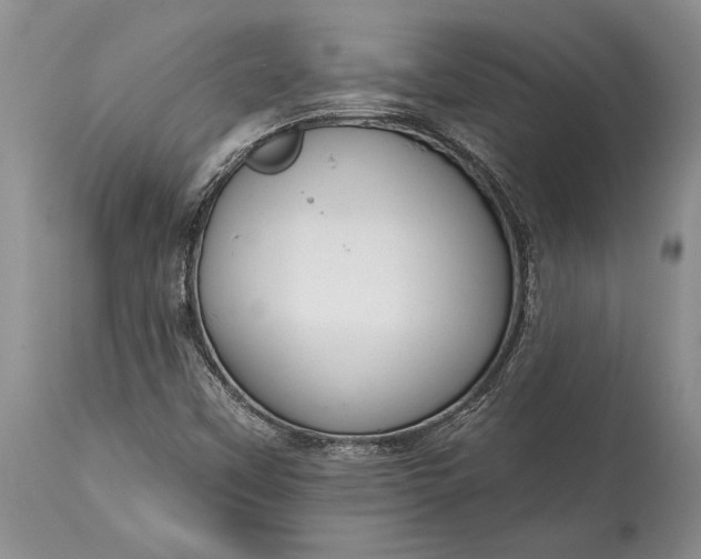 X0000114991451200911091324