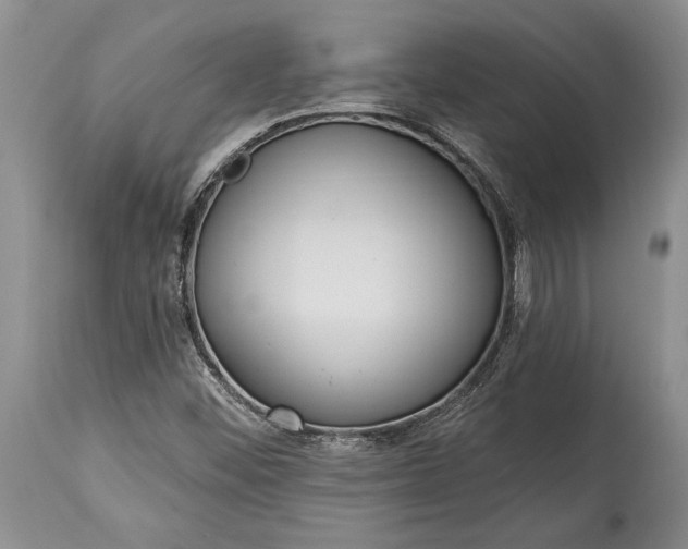 X0000114991452200911091324