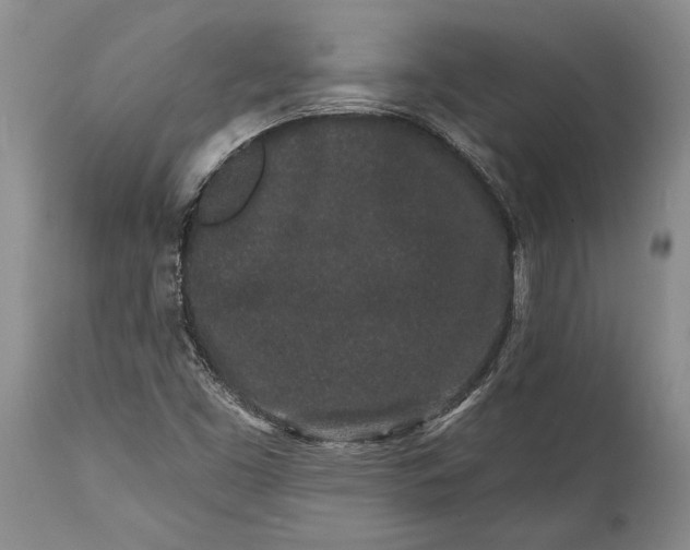 X0000114991453200911091324