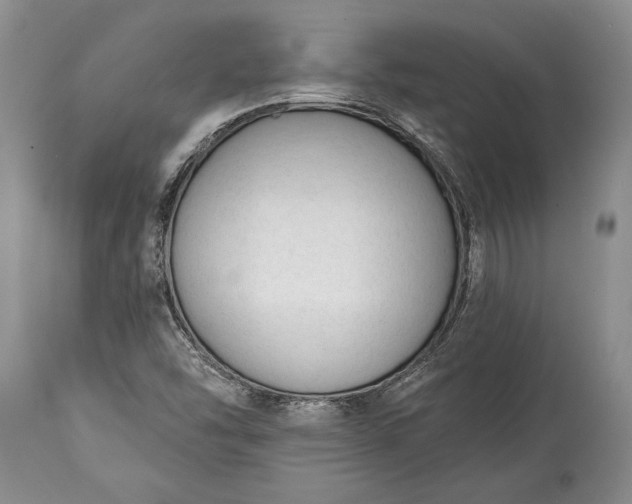 X0000114991454200911091324