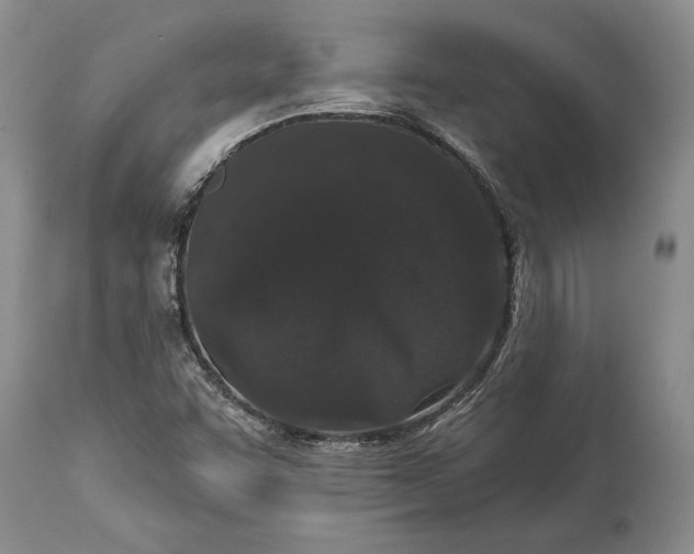 X0000114991455200911091324