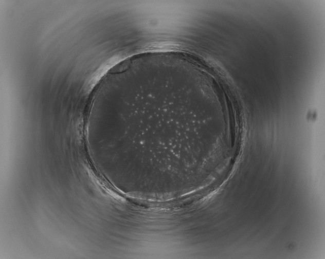 X0000114991457200911091324