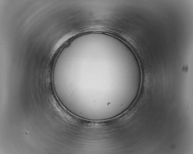 X0000114991458200911091324