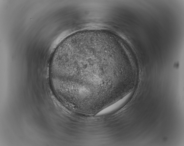 X0000114991459200911091324