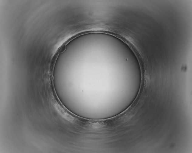 X0000114991460200911091324