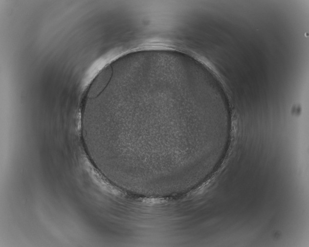 X0000114991461200911091324