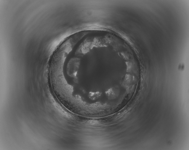 X0000114991463200911091324