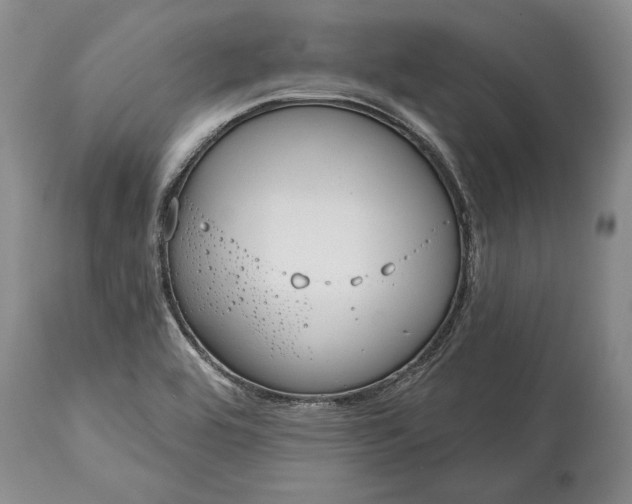 X0000114991464200911091324