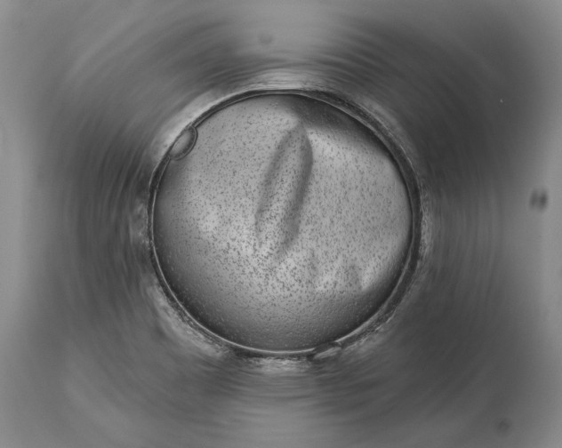 X0000114991465200911091323