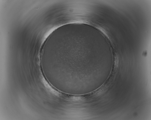 X0000114991468200911091323