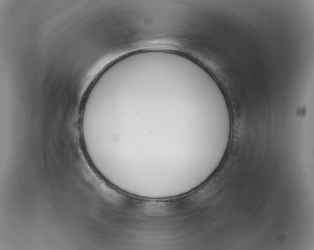 X0000114991470200911091323