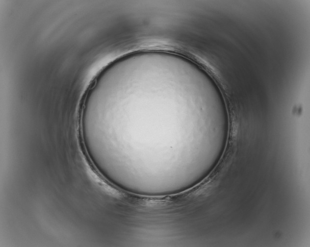 X0000114991471200911091323